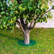 Chránič na rastliny TreeGuard 32 cm - 4/4